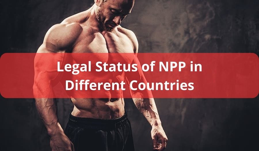 Legal Status of NPP
